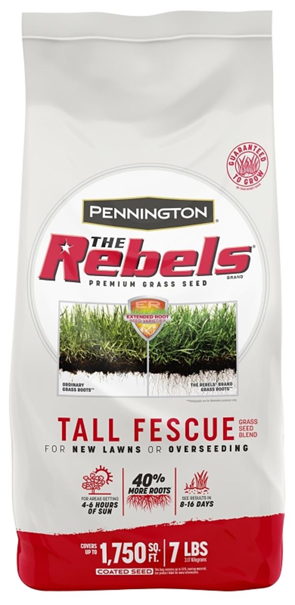 SEED TALL FESCUE MIXTURE 7LB