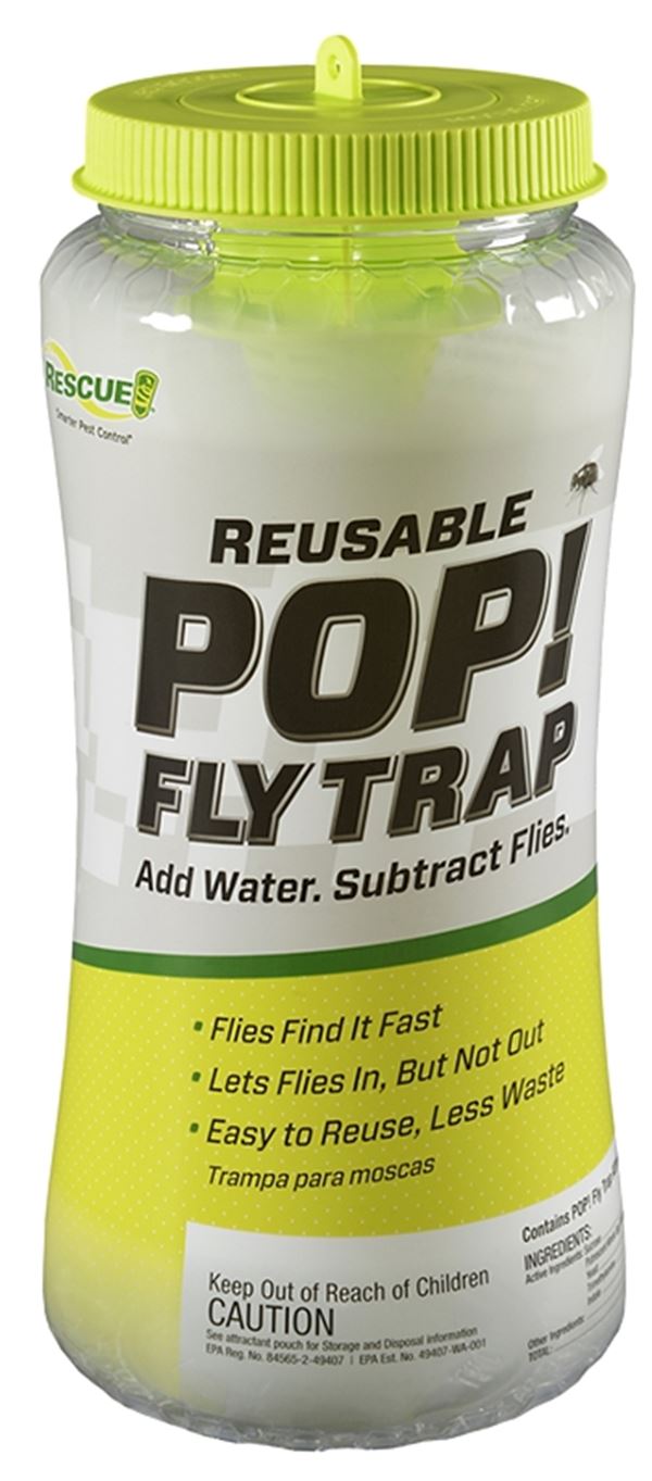 Rescue POP! PFTR-BB4 Fly Trap, Solid, Musty, Reusable