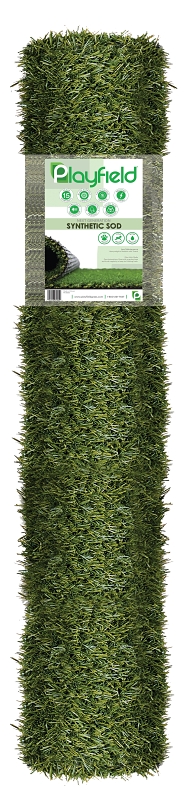 Natco PRT043056-5X7 Artificial Grass Rug, Fescue, Turf, Dark Green