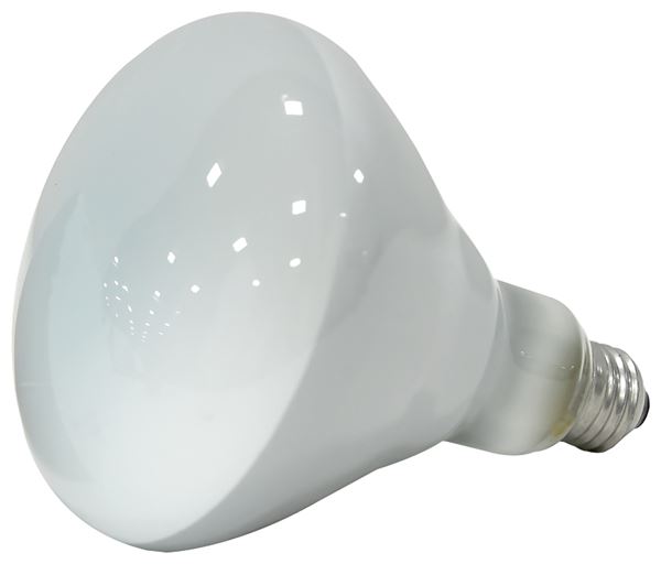 Sylvania 15678 Incandescent Lamp, 65 W, BR40 Lamp, Medium Lamp Base, 580 Lumens, 2850 K Color Temp, 2000 hr Average Life