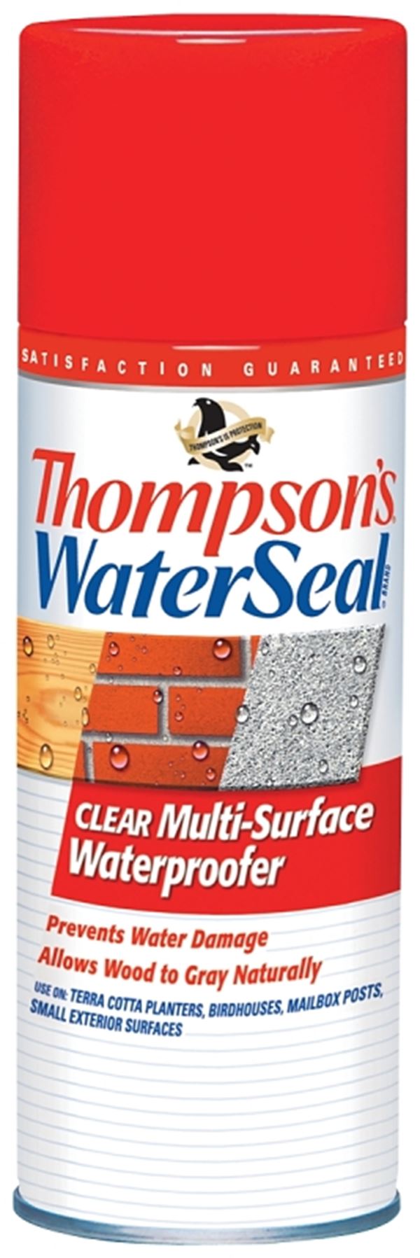 Thompson's WaterSeal TH.10100-18 Waterproofer, Clear, 12 oz, Aerosol Can