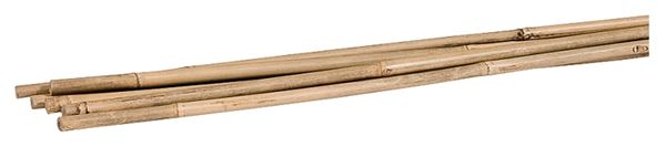 Gardener's Blue Ribbon BB5N Plant Stake, 5 ft L, Bamboo, Natural